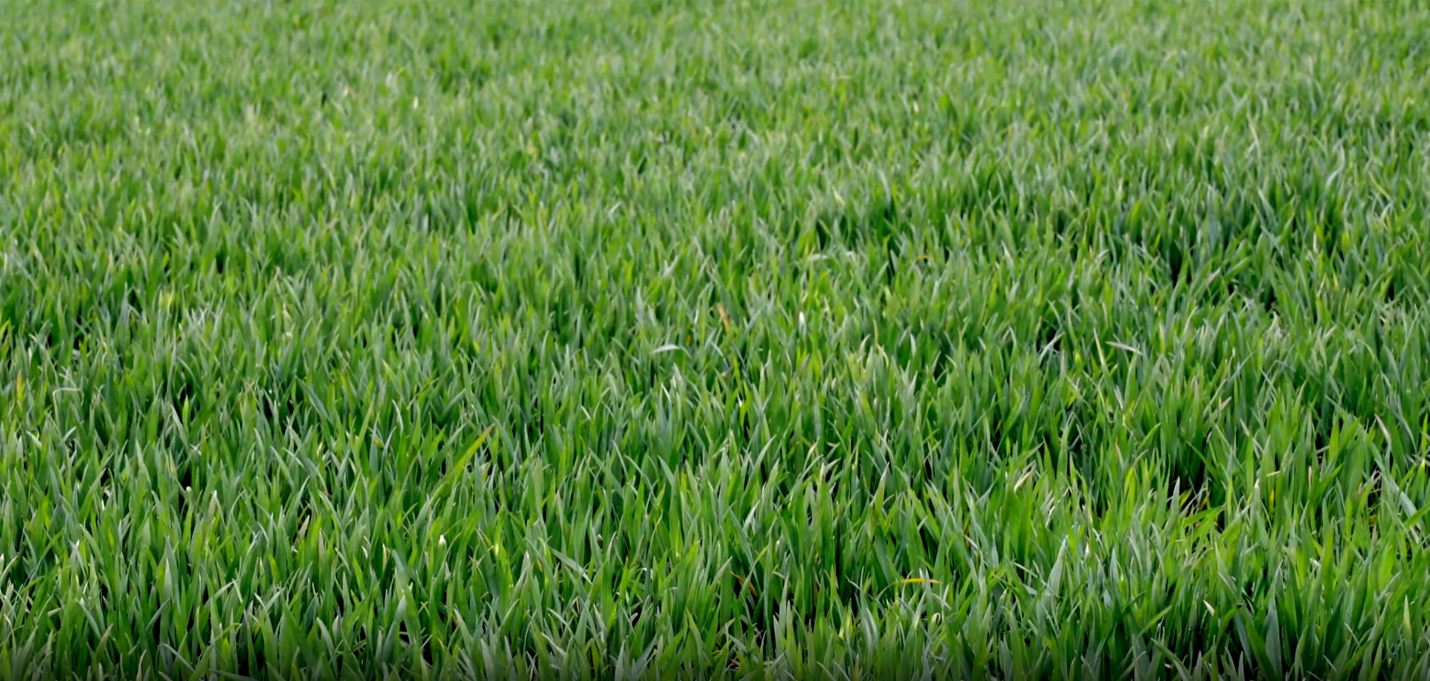 5-nacina-za-efikasno-upravljanje-odnosi